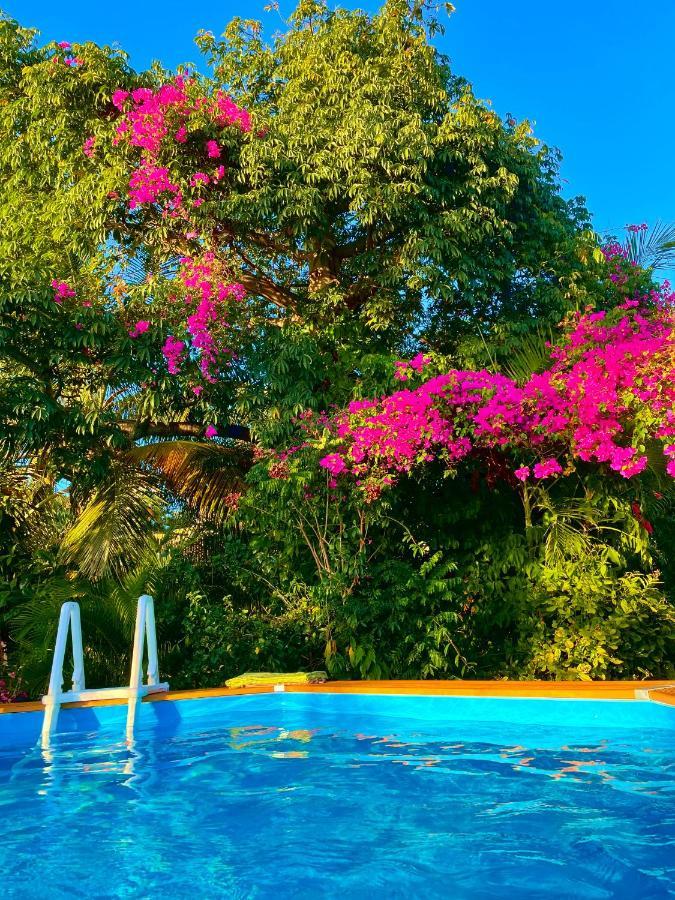 Villa Nature Caraibe Lodge, Vue Mer, Piscine Privee 데샤이에스 외부 사진