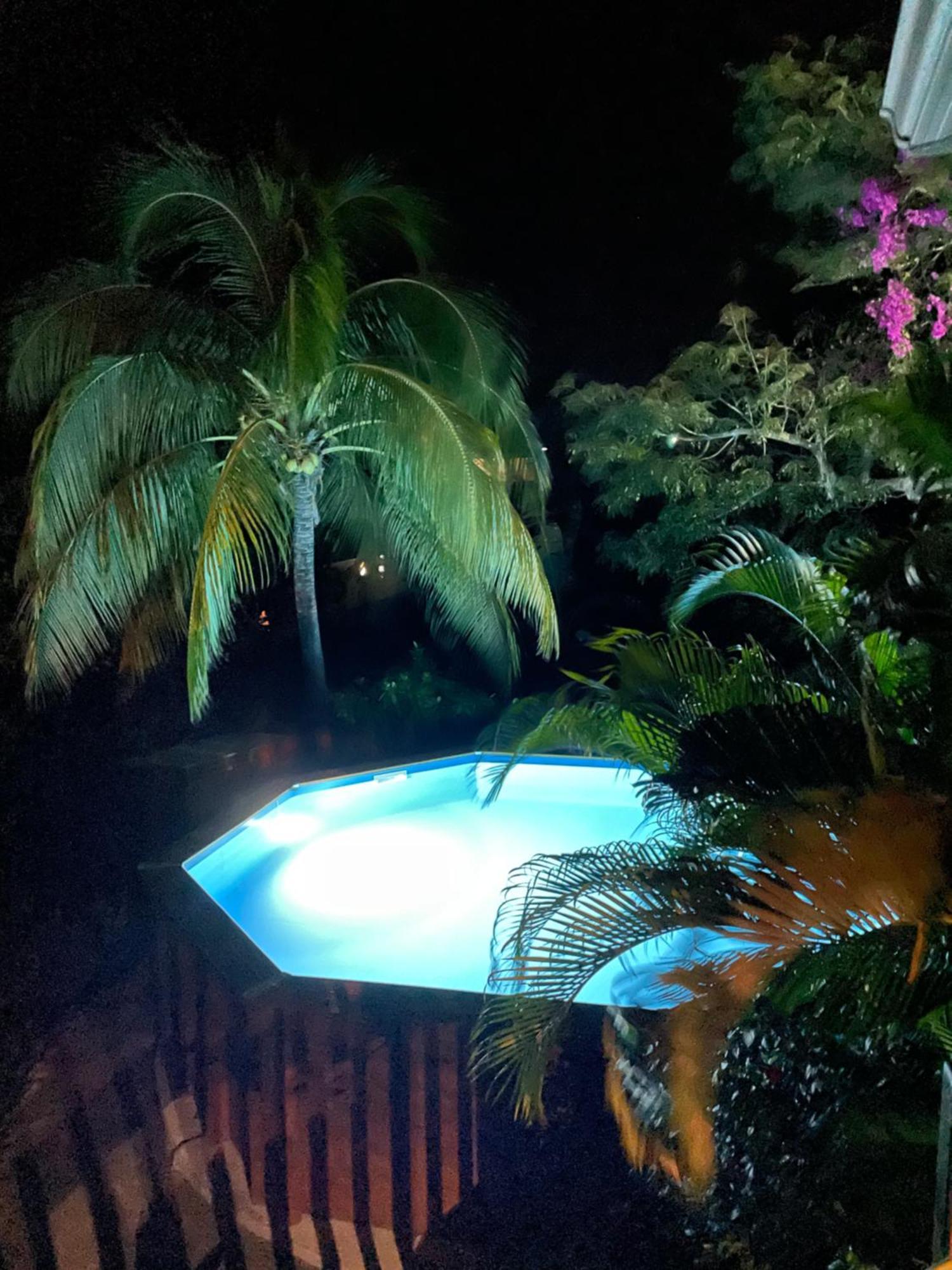 Villa Nature Caraibe Lodge, Vue Mer, Piscine Privee 데샤이에스 외부 사진